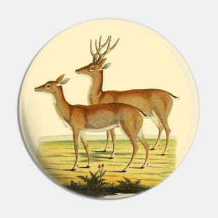 A Pair of Deer Nature Illustration Pin