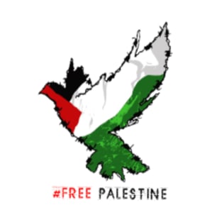 Free Palestine | Palestine in my Heart T-Shirt