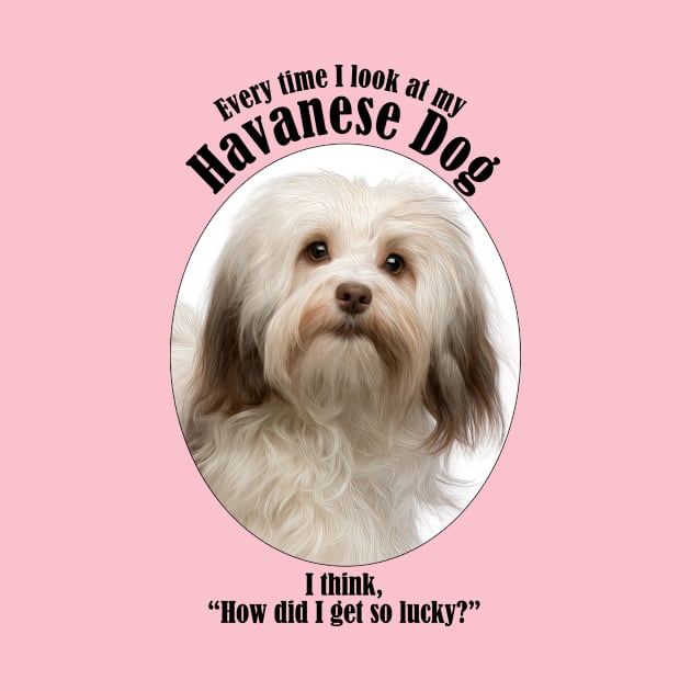 Havanese Dog Traits by You Had Me At Woof