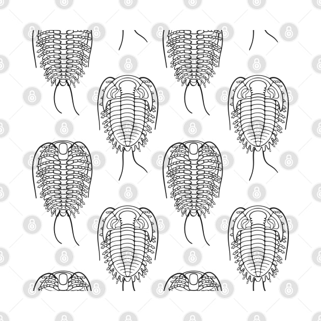 Line Drawing Trilobite Illustration Pattern by taylorcustom