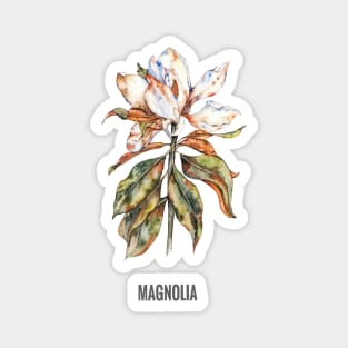 Large white magnolia Magnet