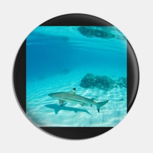 Tahiti Reef Shark & Coral Pin