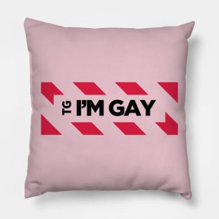 TG I'm Gay Pillow