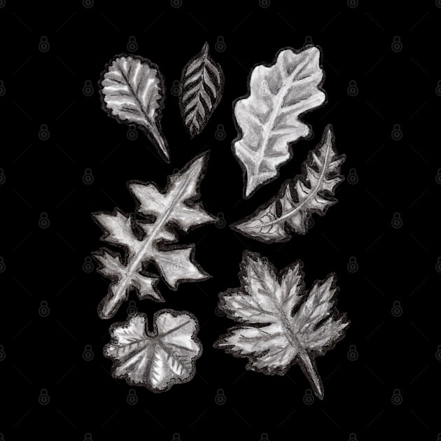 Grayscale Botanical Wildflowers by IvyLilyArt