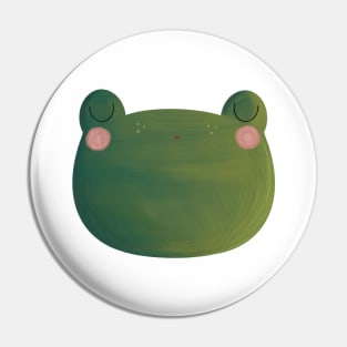 Sleeping Frog Pin