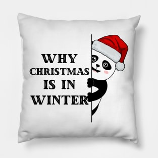 Cute Panda Why Christmas in Winter Pillow