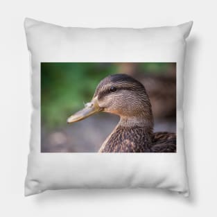 Mallard Profile Pillow