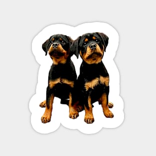 Rottweiler Cute Puppy Dogs Magnet