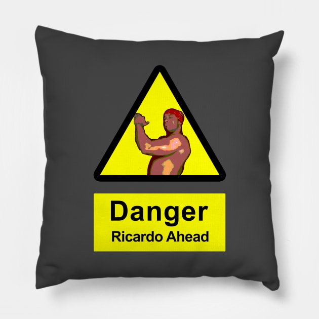 Ricardo Milos - DANGER Pillow by giovanniiiii