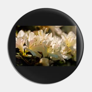 White Azalea Flowers Pin