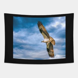 Osprey with Fish Tapestry