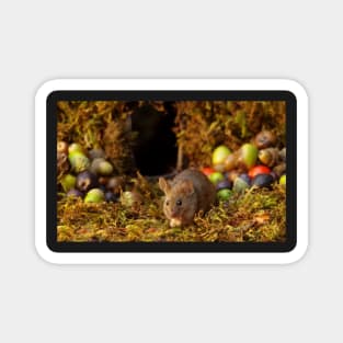 Wild  cute garden mouse Magnet