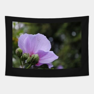 Midsummer Bloom Tapestry