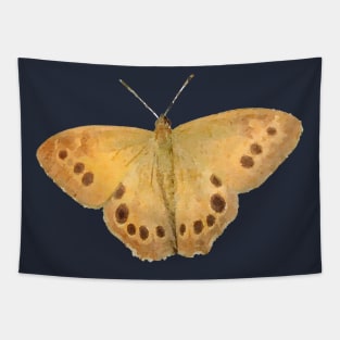 Northern Pearly-Eye Butterfly Tapestry
