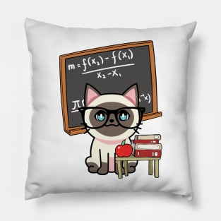 Funny siamese Cat is teaching Pillow