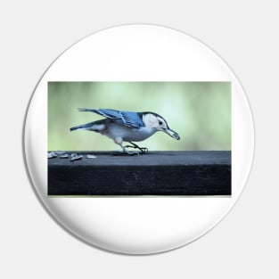 Nuthatch Pin