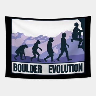 Evolution of a Boulder Tapestry