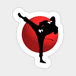 Ninja Kicking Pose - Japanese Martial Arts Magnet