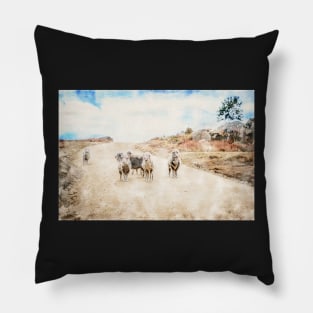 Country Australia Pillow