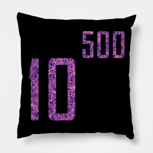 Multiverse - String theory - 10^500 Pillow