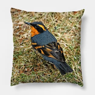 A Bird's Eye View of a Varied Thrush Pillow