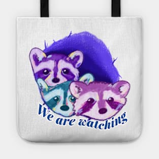 The Raccoons are watching Tote