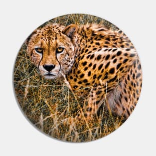 Cheetah in the Grass Pin