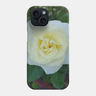 Yellow rose Phone Case