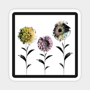 Set of flowers Magnet