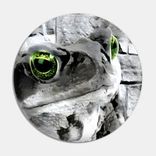 Frog Black and White Spray Paint Wall Pin