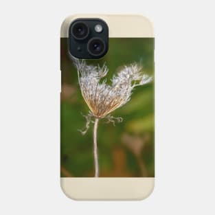 Withering Queen Annes Lace Phone Case