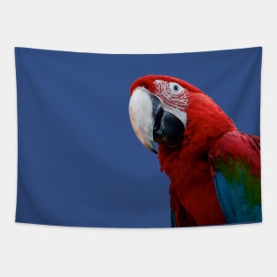 Close-Up Of A Green Winged Macaw Parrot Tapestry