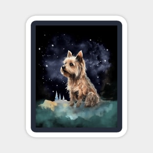 silky terrier watching stars Magnet