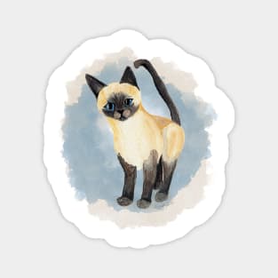 Saucy Siamese Kitten in blue Magnet