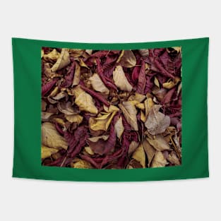 Autumn leaves Tapestry