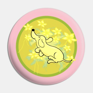 Happy Flying dachshund in green Pin