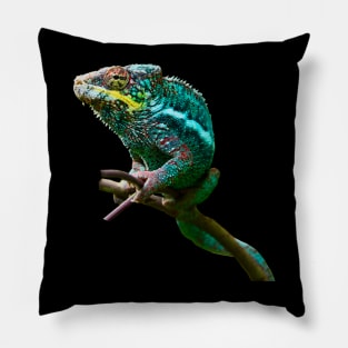 chameleon Zurich Pillow