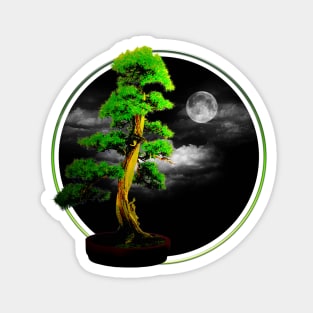 Bonsai tree (night) Magnet