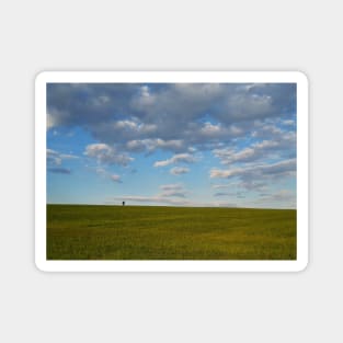 walking a green wheat field Magnet