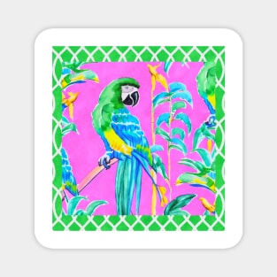 Macaw parrot watercolor Magnet