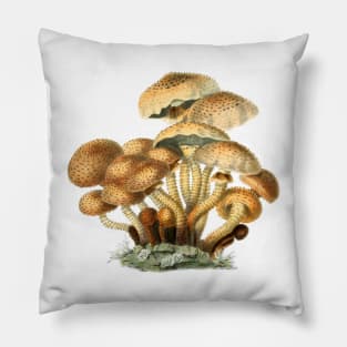 Shaggy Scaly Cap Mushroom Vintage Mycology Painting Pillow