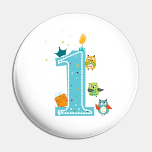 Happy first birthday with owls baby boy Pin