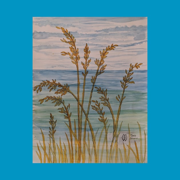 Sea oats at the Emerald Coast by Matt Starr Fine Art