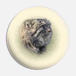 Manul-Pallas's cat Pin