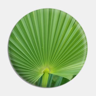 Palm Leaf Pin