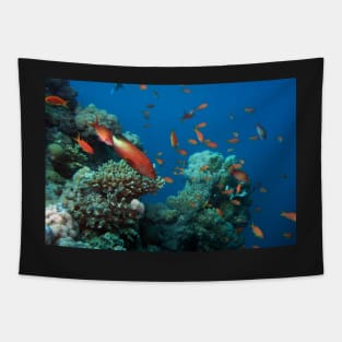 marine and aquatic life Tapestry