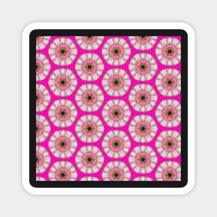 Pink gerbera on bright pink Magnet