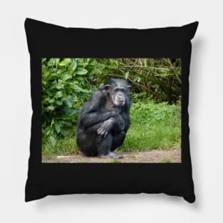 Contemplation Pillow