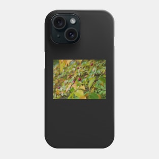 Red tree fruit Phone Case