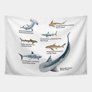 Sharks Galore Tapestry